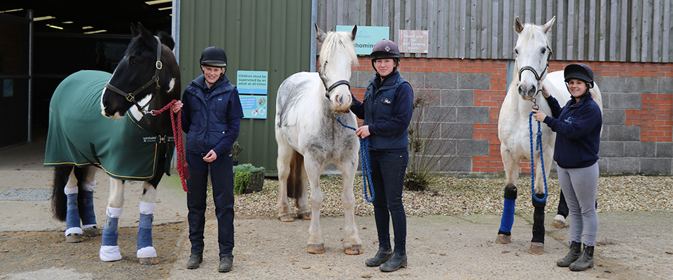 three members of staff all holding an equine each
