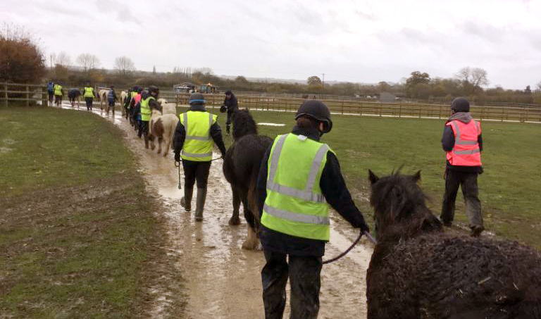 group of handlers leading ponies away from a flooded field and towards dry land
