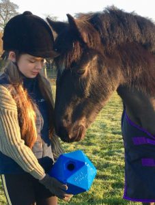 girl holding an enrichment toy while a black pony stands close