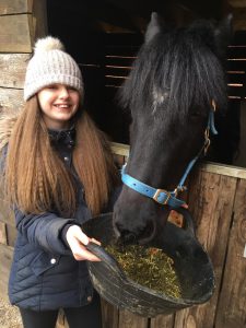young girl stood next to a black pony wearing a blue headcollar