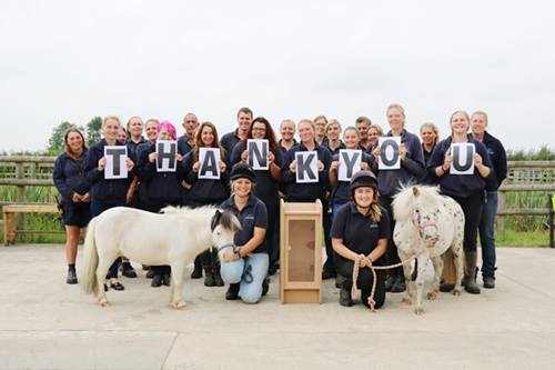 members of staff holding up letters spelling out Thank You. Two shetland ponies stand at the front