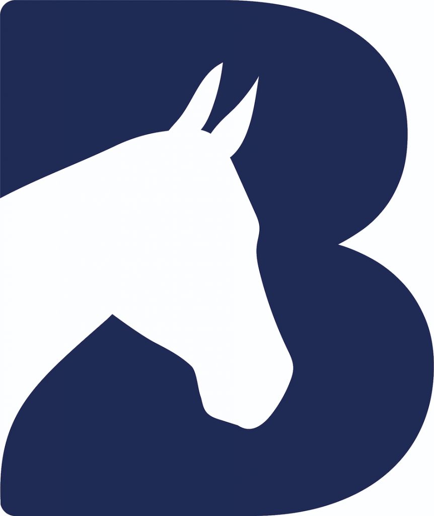 bransby horses logo in navy blue