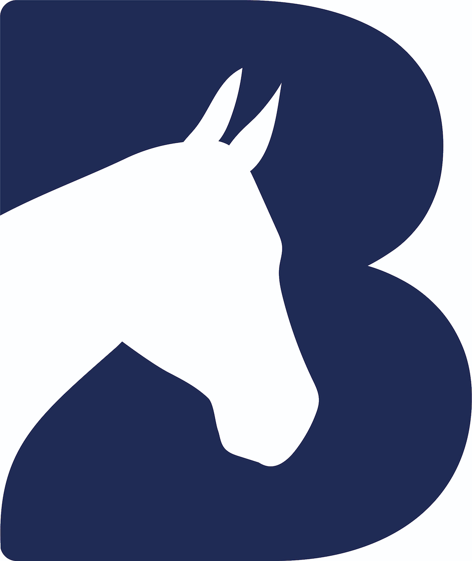 bransby horses logo in navy blue