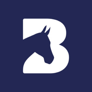 bransby horses logo in navy blue