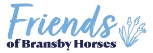 friends of bransby horses graphic
