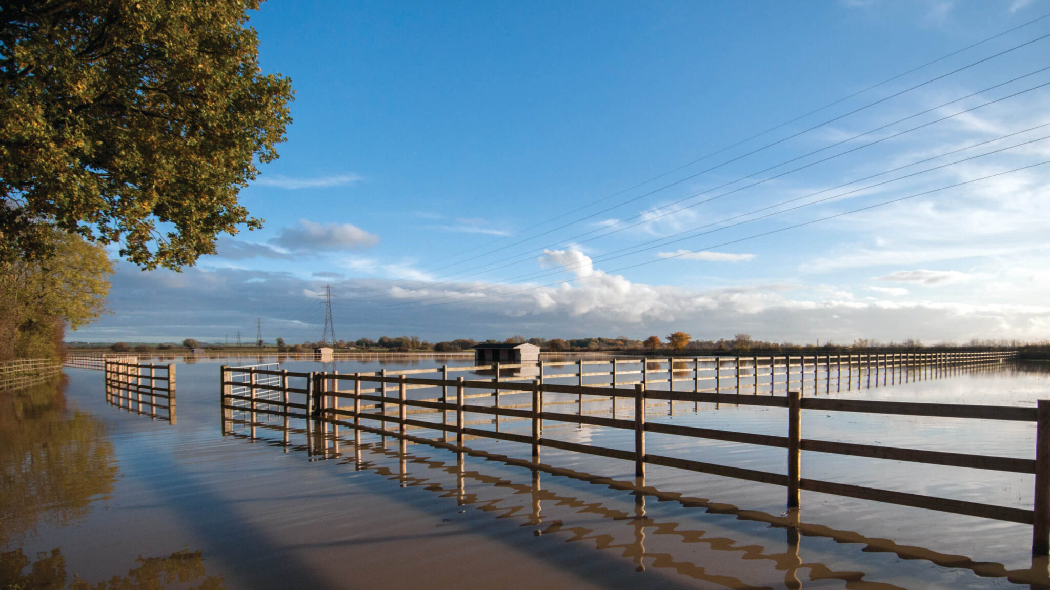 flooded fields