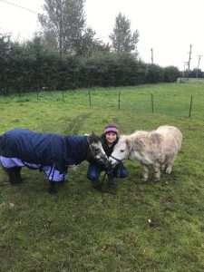 woman crouched down in between two shetland ponies in a field