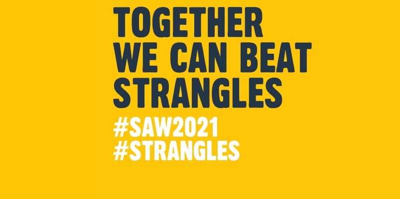 together we can beat strangles