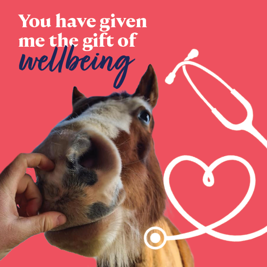 Gift of wellbeing