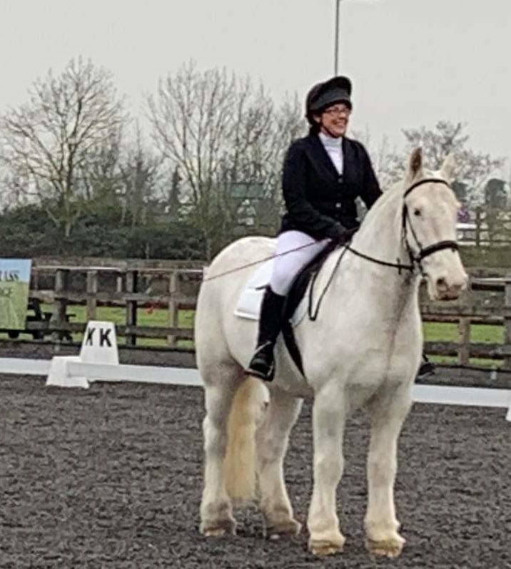 Tudor competing