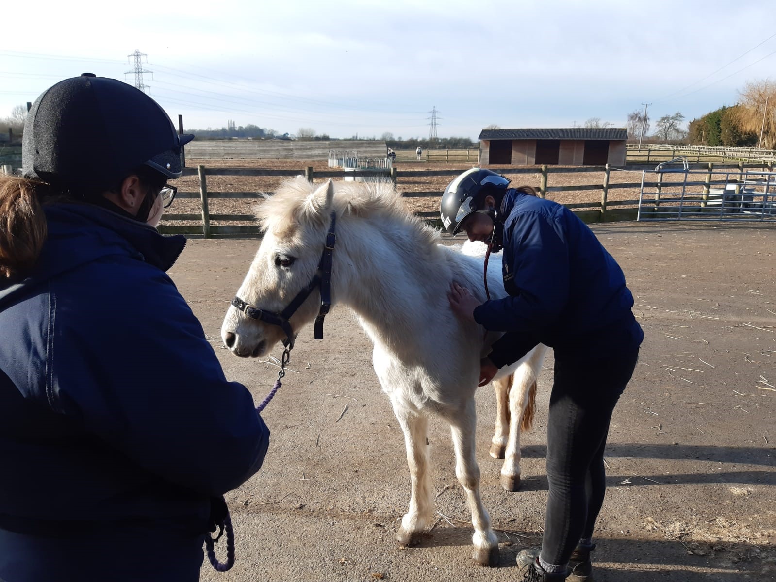 Pony and vet