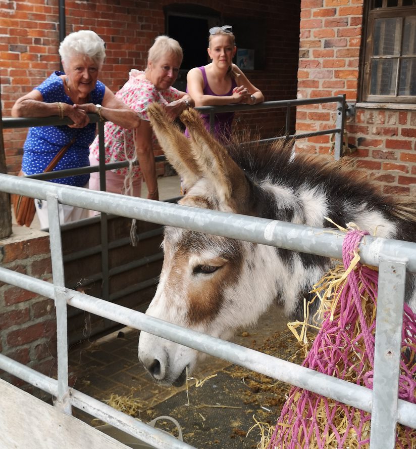 Mother's Day in Lincoln with Bransby Horses