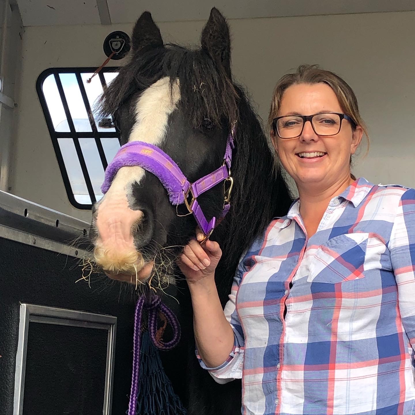 Limpopo leaves Bransby Horses