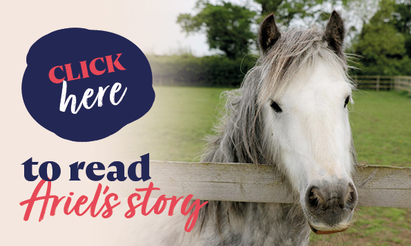 click here to read ariel's story