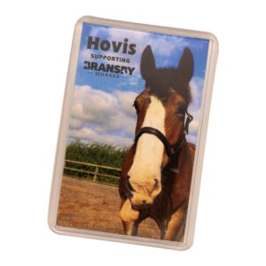 hovis the horse magnet