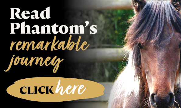 click here to read phantom's remarkable journey
