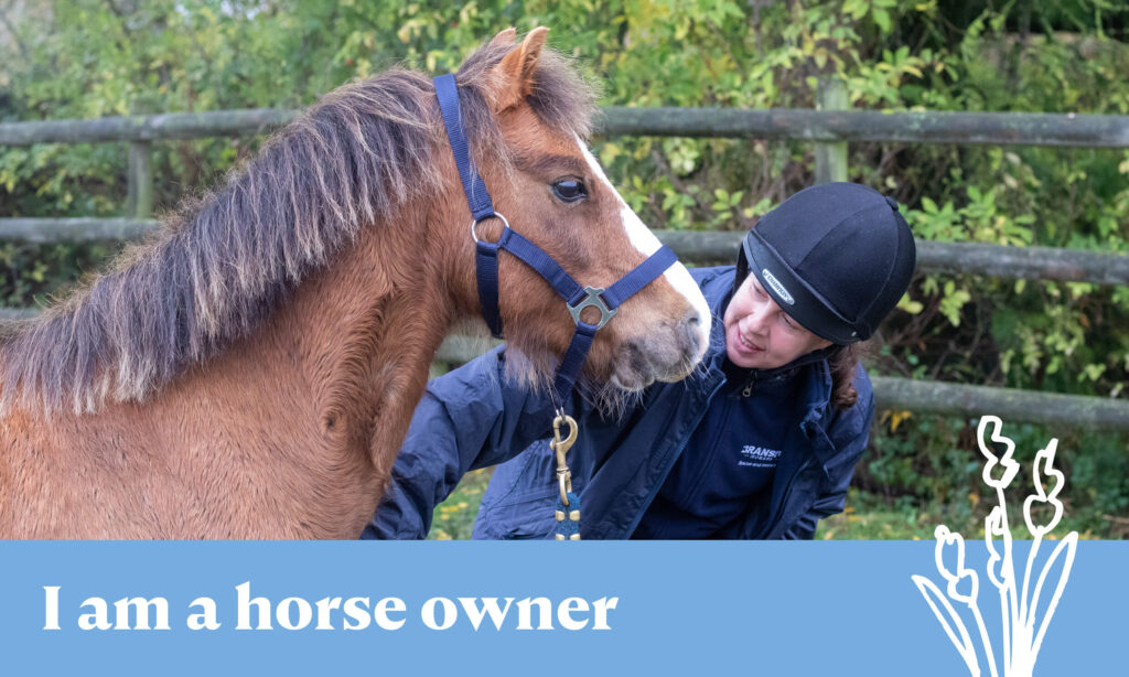 I am a horse owner graphic
