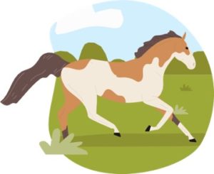 illustration of a skewbald horse running through a field