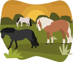 five domains of animal welfare, environment graphic