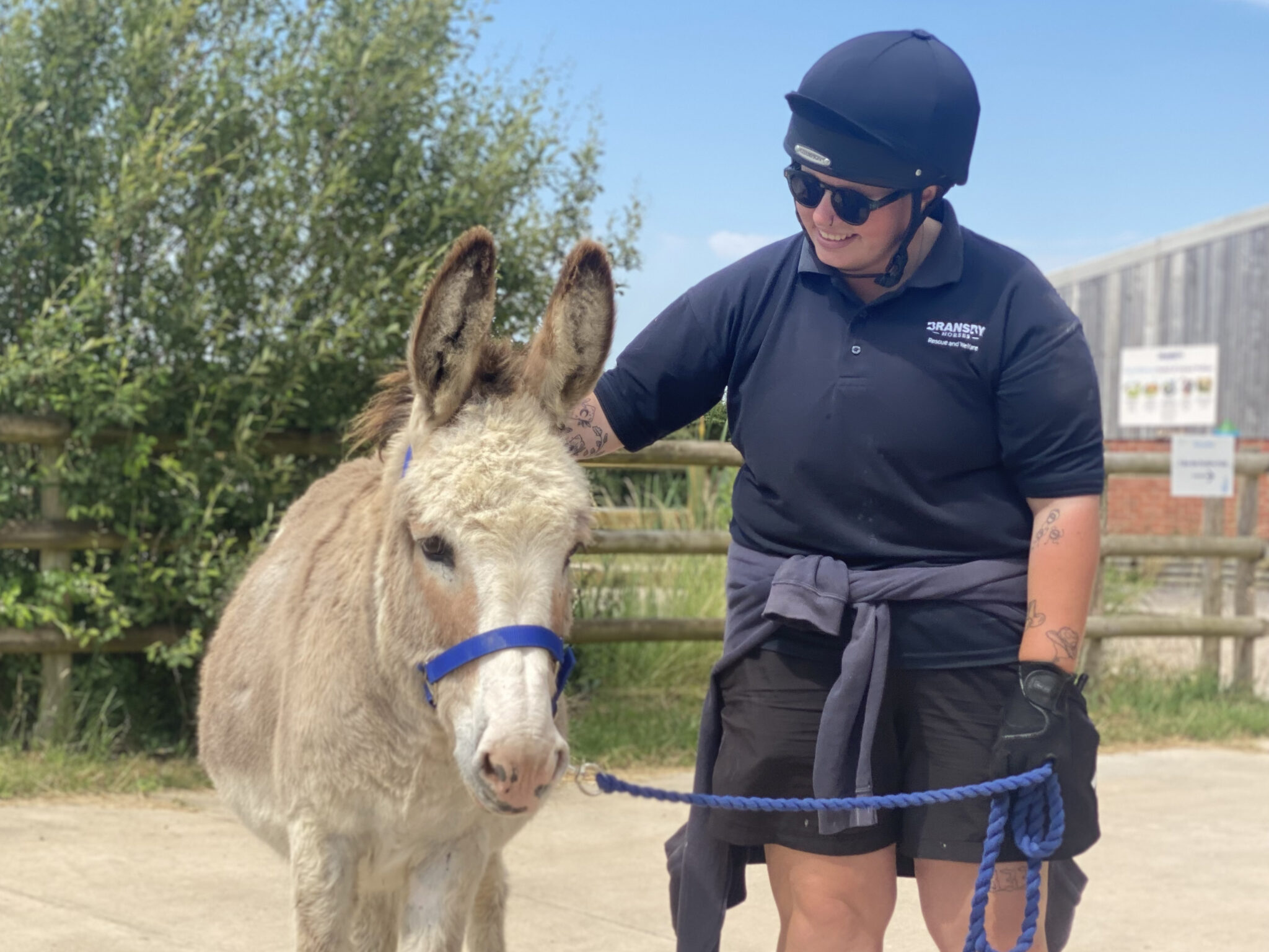 Handler stood stroking a light brown and white donkey