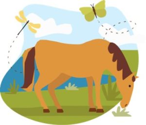 illustration of a horse grazing in a field