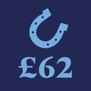 Support our welfare work to provide the rescue, treatment and ongoing care for a horse in need