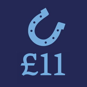 £11 Donation Button