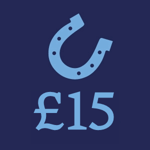 £15 Donation Button