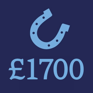 £1700 Donation Button