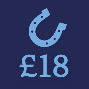 £18 Donation Button