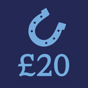 Support our welfare work to provide the rescue, treatment and ongoing care for a horse in need
