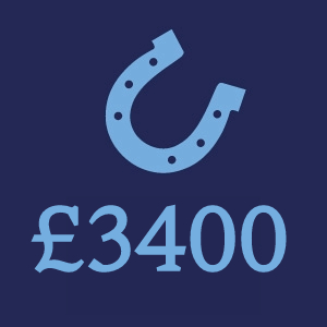 £3400 Donation Button