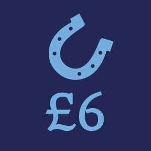 £6 Donation Button