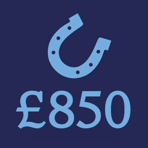 £850 Donation Button