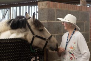visitor at bransby horses greeting a tan and white pony in a stable