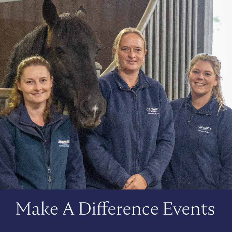 staff members stood in front of a stable with a horse stood between them