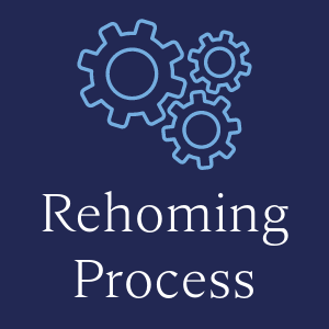 rehoming process text on a navy blue background