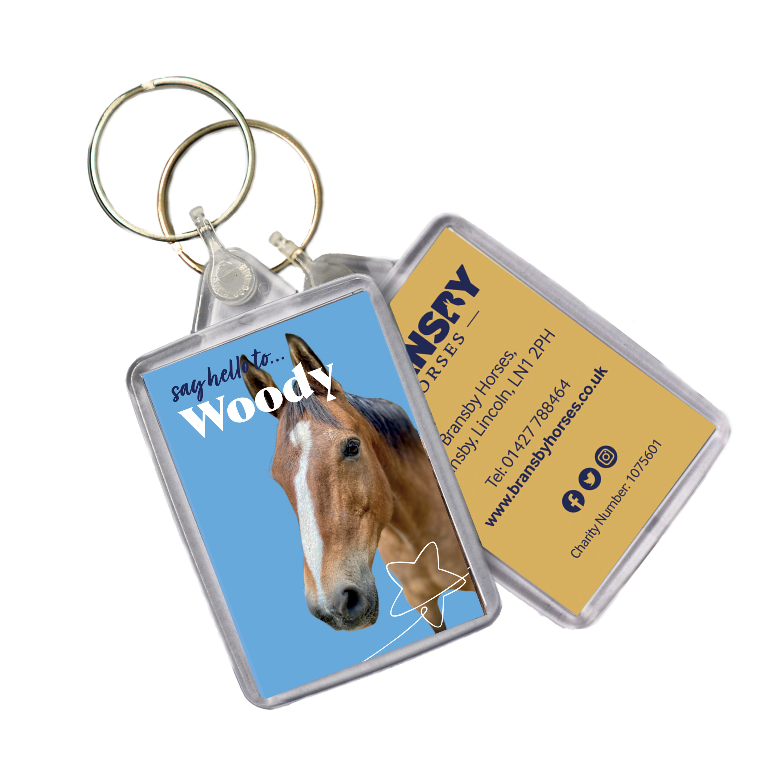 keyring of sponsorship star woody