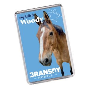 magnet of sponsorship star woody