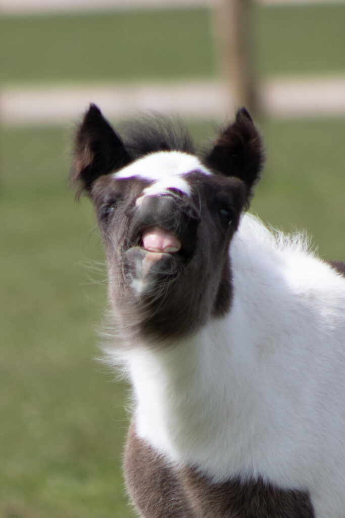 Toothy grin