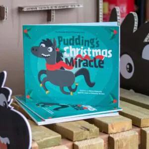 puddings christmas miracle book cover
