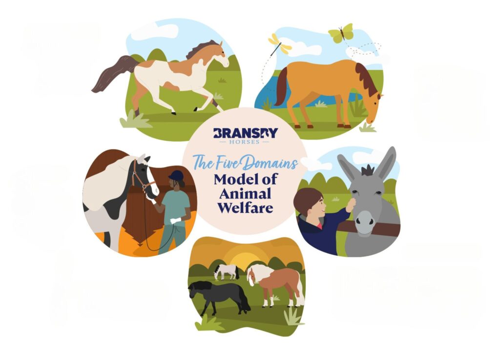 Diagram showing the five domains model of animal welfare