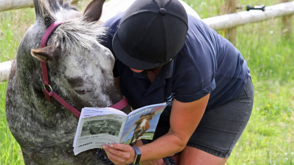 a member of staff reading a copy of bransby life to a grey dappled pony