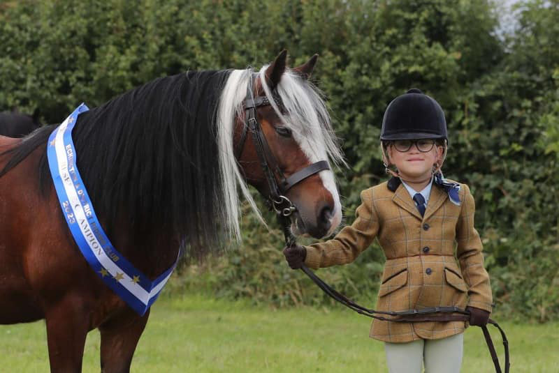 Young girl stood next to a skewbald pony wearing a champion sash