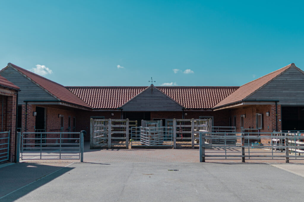 courtyard at the animal reception centre