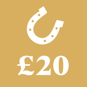 Support our welfare work to provide the rescue, treatment and ongoing care for a horse in need
