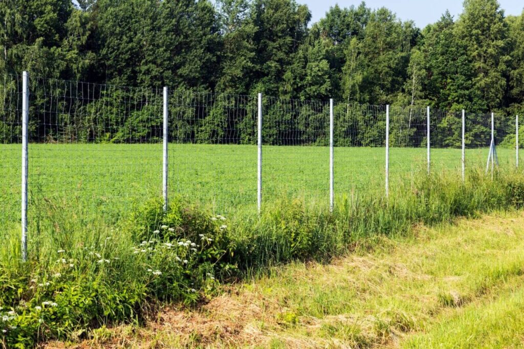 Stock image of horse safe netting