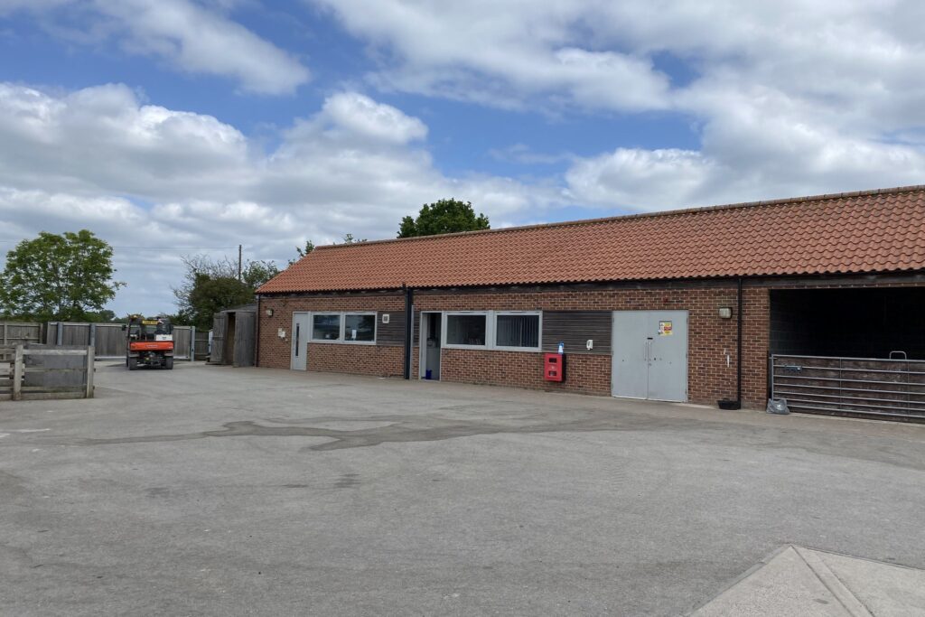 Courtyard at the animal reception centre