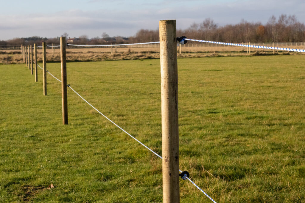 electric fencing installed at bransby horses