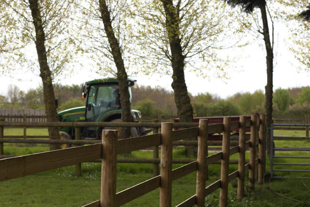 Post and rail fencing at Bransby Horses